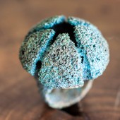 09a piccole creature jewelry formentera  bronze ring